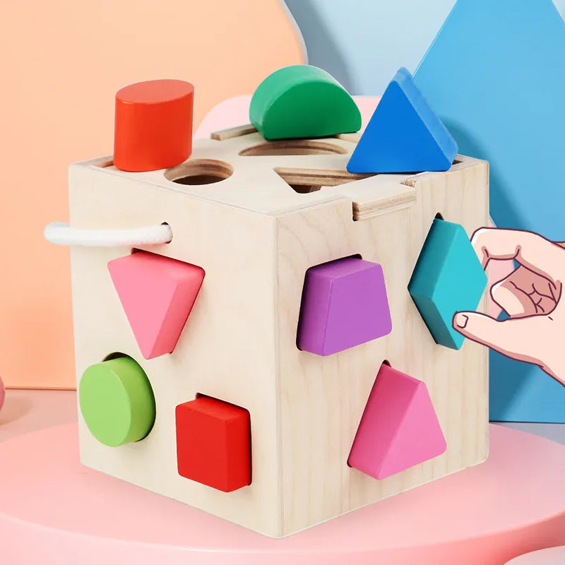 13 hole kids Shape Sorter