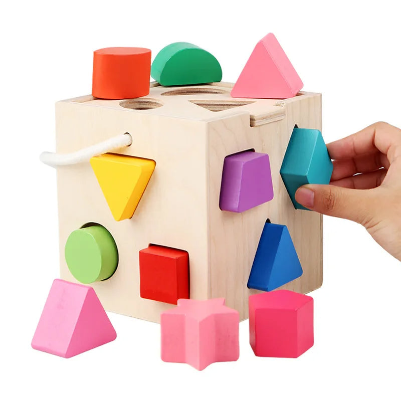 13 hole kids Shape Sorter